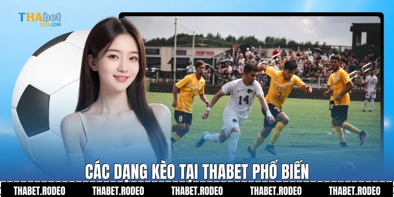 Các dạng kèo tại THABET phổ biến