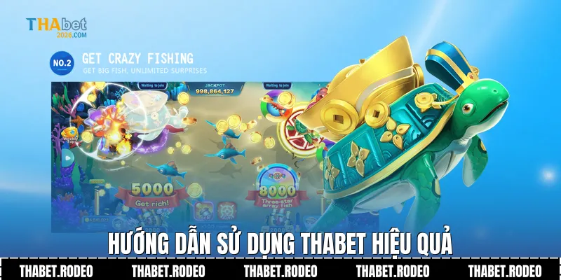 Hướng dẫn sử dụng THABET hiệu quả